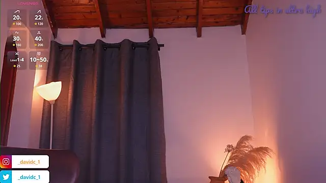 DavidC_ Show in webcam