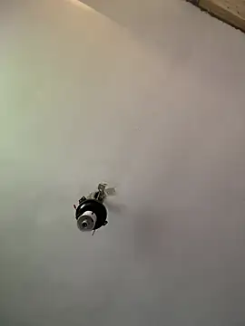 Show webcam de Brando2585