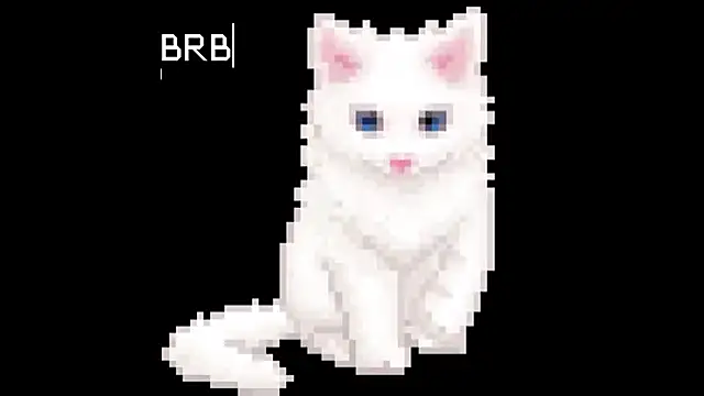 BlinkingDross Chat XXX in diretta