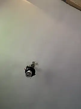 Show webcam de Brando2585