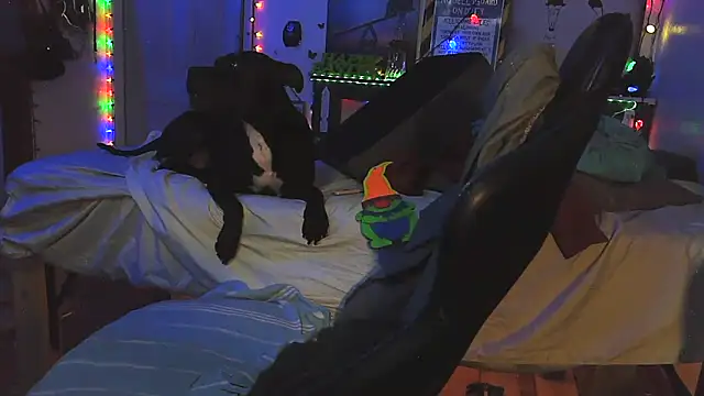 Buffshagswell's Webcam Show