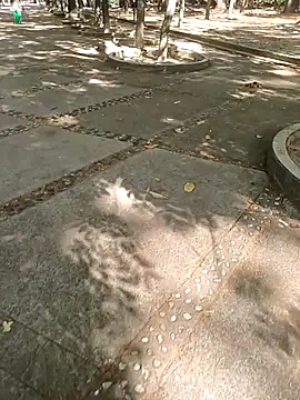 andresj22hot Webcam Show