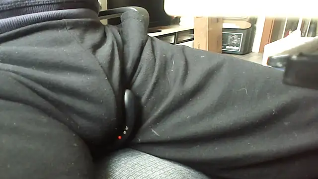 Show Webcam de schwanzi_bear