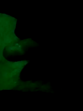 Papitoamalik Pertunjukan Webcam