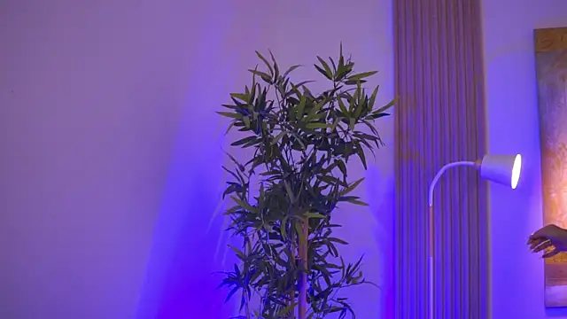 Aisha_Bee: απευθείας συνομιλία ΧΧΧ