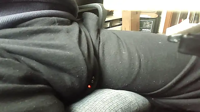 schwanzi_bear Webcam-Show