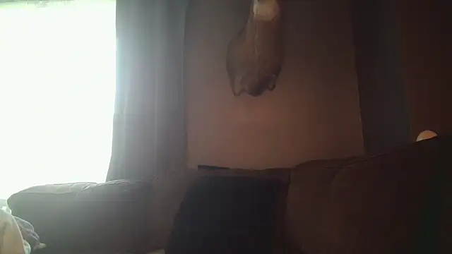 sexiirose22 Pertunjukan Webcam