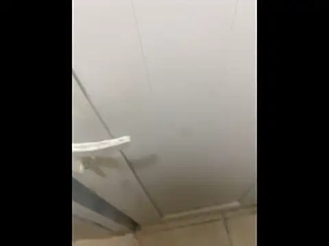 giyasbvnghkgkfk: вебкам-шоу