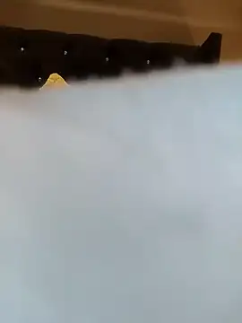 Andrew_742's Webcam Show