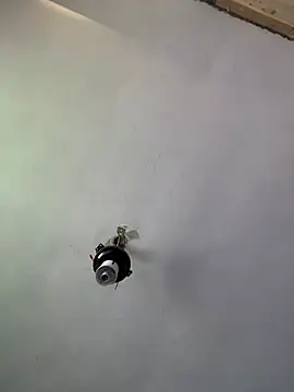 Chat XXX Live Brando2585