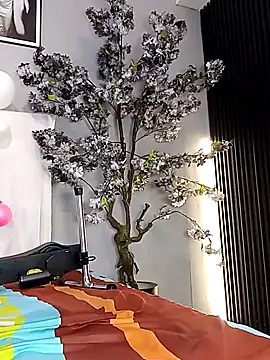 แชท XXX สดของ Haileysans