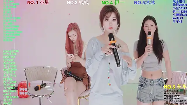 ZZ00033S Webcam show