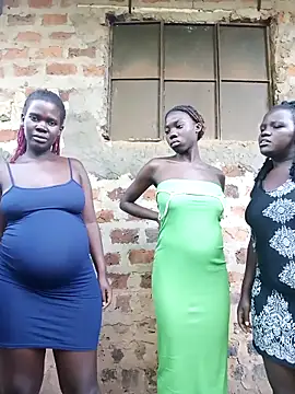 Pertunjukan Kamera Web holygrail001