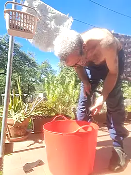 delfi6 Pertunjukan Webcam