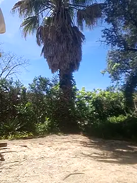 Show de delfi6 na webcam