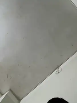 truongduy786 网络视讯表演