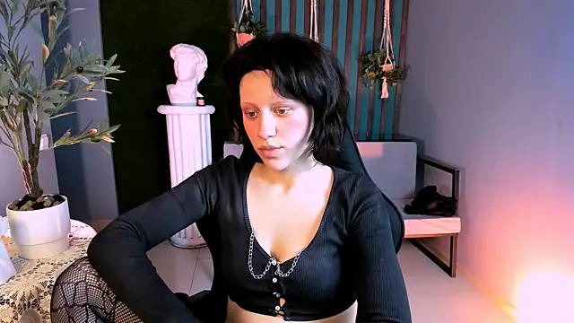 LidaDarknet Webcam-Show