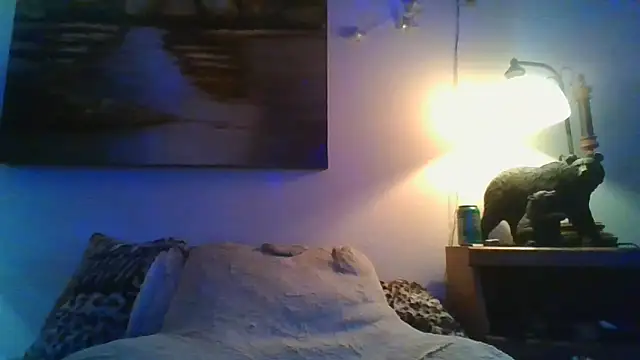 theboobietrap: διαδικτυακό σόου στην κάμερα