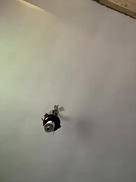 Brando2585 Pertunjukan Webcam