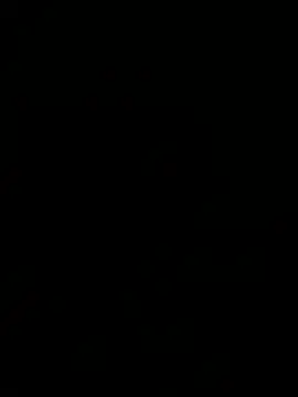 Show webcam de falkony