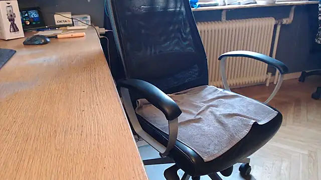 endastjagn Webbikameraesitys