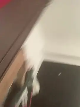 Bryan056_ – Kamerová šou