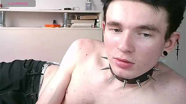 Ernest_ice webcam show
