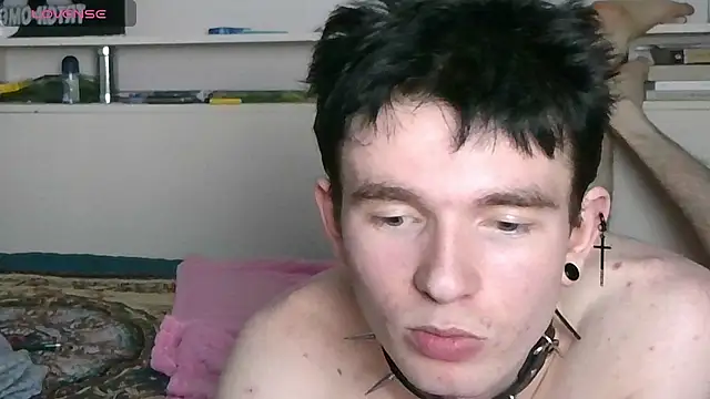 Show webcam de Ernest_ice