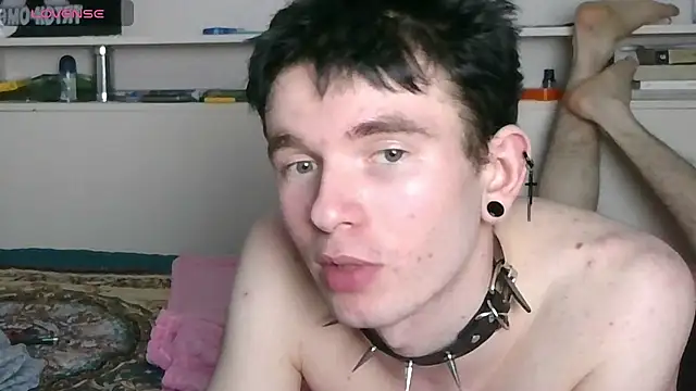 Webkamerová show Ernest_ice