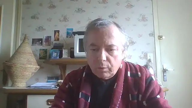 gegevincent5 webkamerás műsora