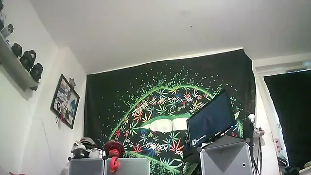 X_MagicMello_X: вебкам-шоу