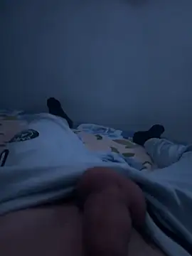 dandodur 网络视讯表演