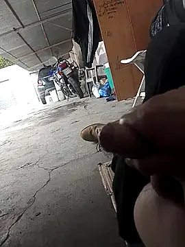 Mar81 Show in webcam