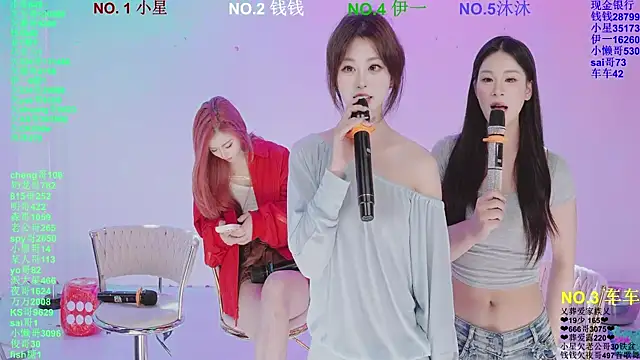 ZZ00033Sn Webbikameraesitys