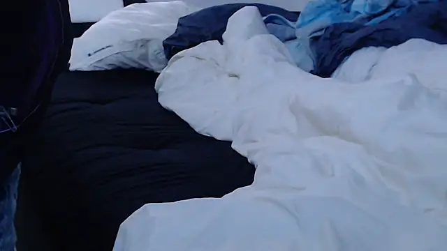 Bjuicedn Webbikameraesitys