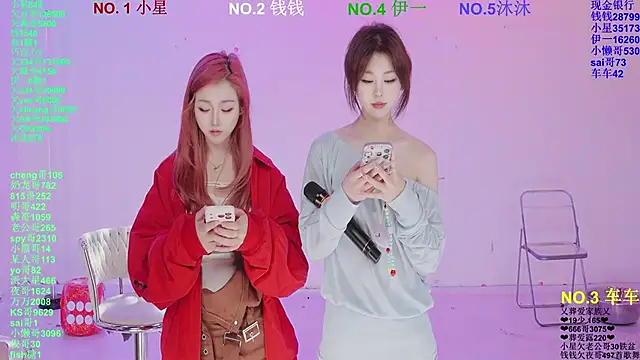 ZZ00033S Webcam-Show