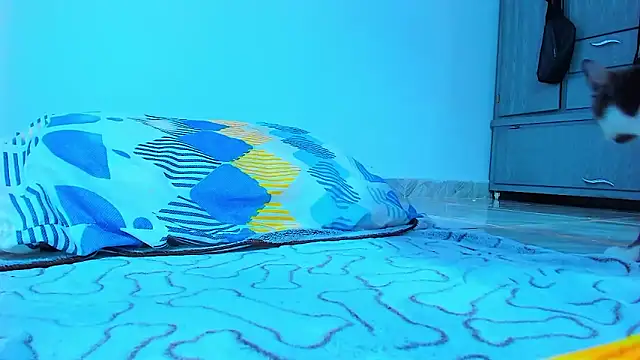 Sexyboy_666 Show in webcam