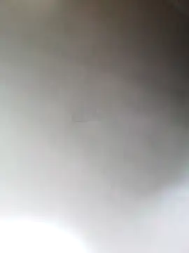 Feelmineinsideyou Adlı Modelin Web Kamerası Şovu