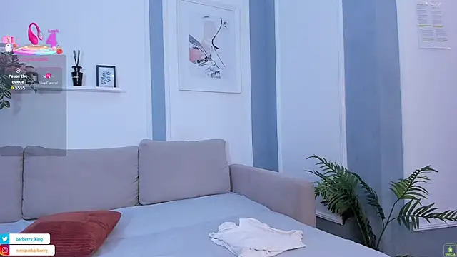 EnriqueBarberryn Webbikameraesitys