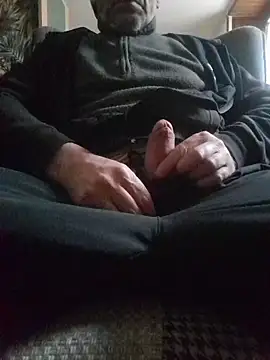 exhib_biten Webbikameraesitys