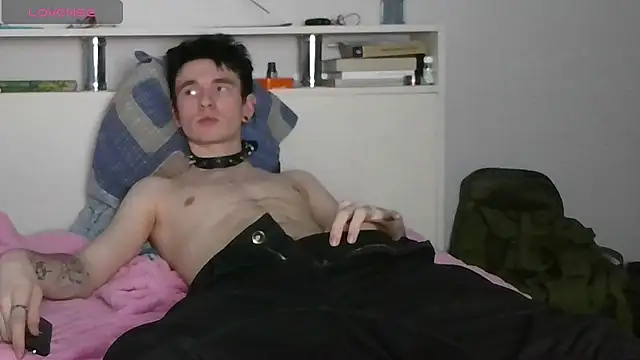 Show Webcam de Ernest_ice