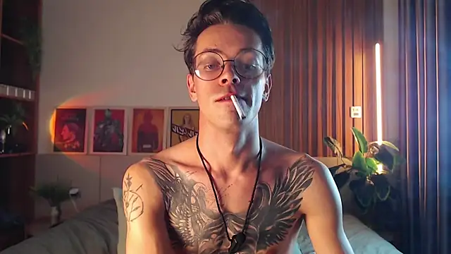 William_Henry_ – Kamerová šou