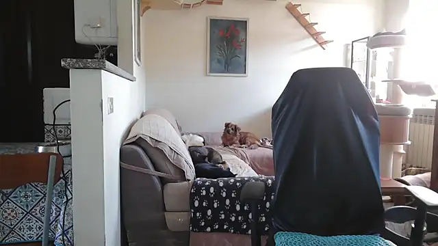 دردشة simona60 الجنسية المباشرة