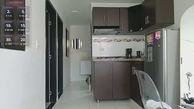 عرض كام grey___27