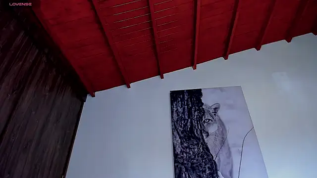 Santos_ramirez1 – Kamerová šou