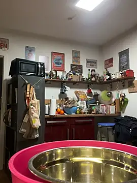 savageebny Webcam-Show