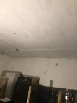 Odecca11: διαδικτυακό σόου στην κάμερα