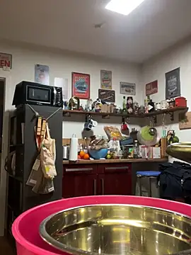 savageebny's Webcam Show