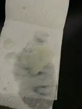 Mike8523 现场XXX聊天