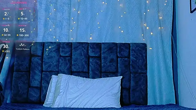 Dantekent Pertunjukan Webcam